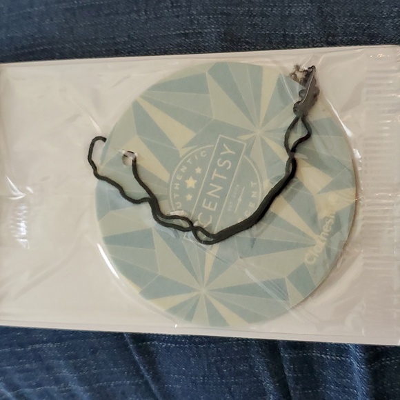 Scentsy Scent Circle Clothesline - Picture 3 of 3